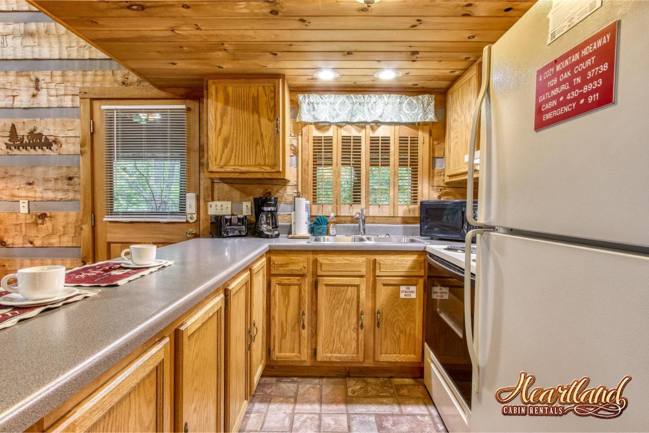 Cozy Mountain Hideaway Villa แกตลิงเบิร์ก ภายนอก รูปภาพ